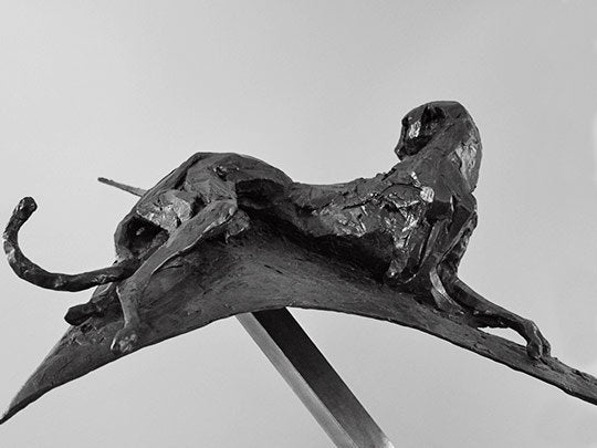 Resting Cheetah on Curve