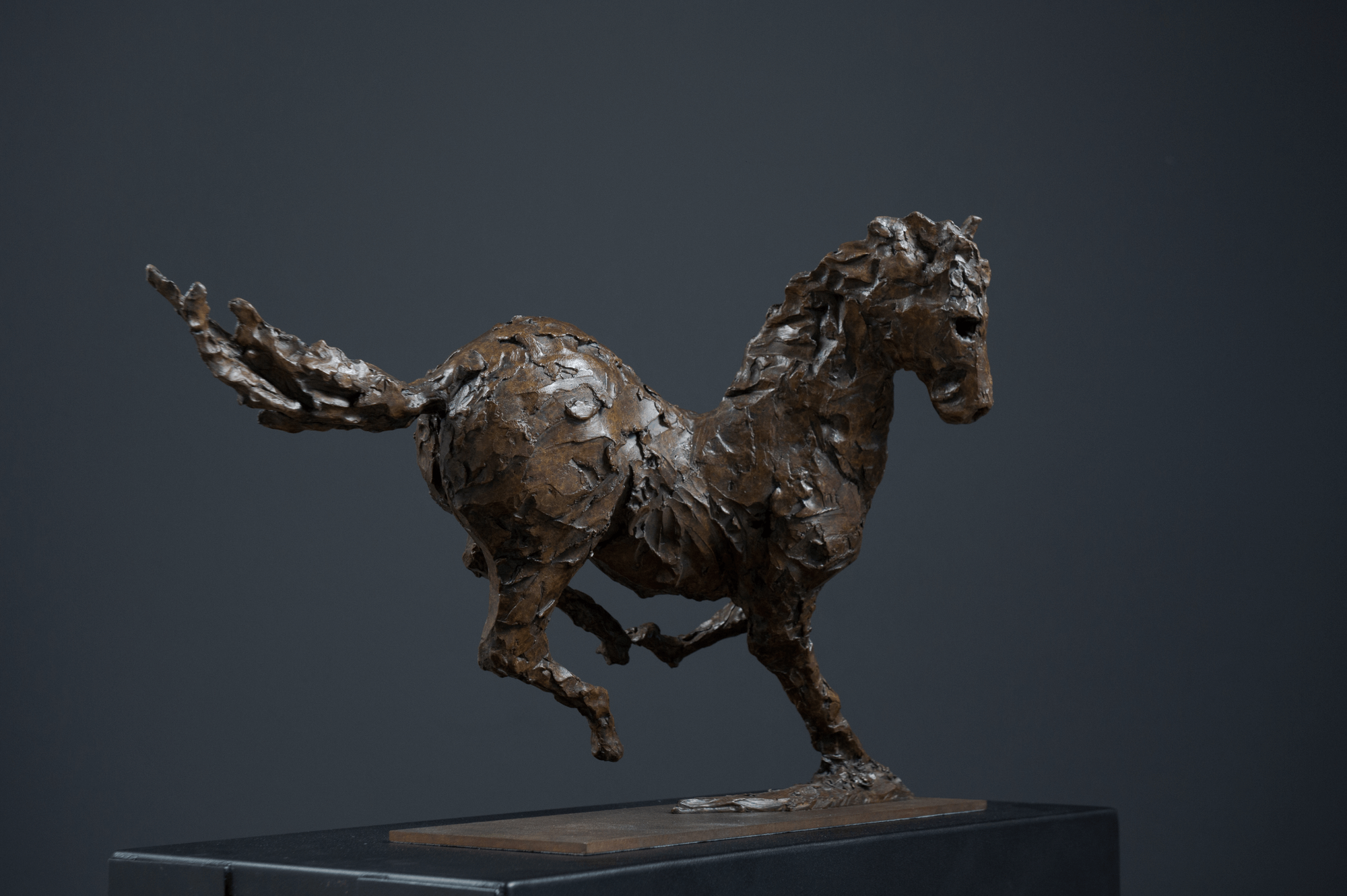 Horse I (Cornering Horse)