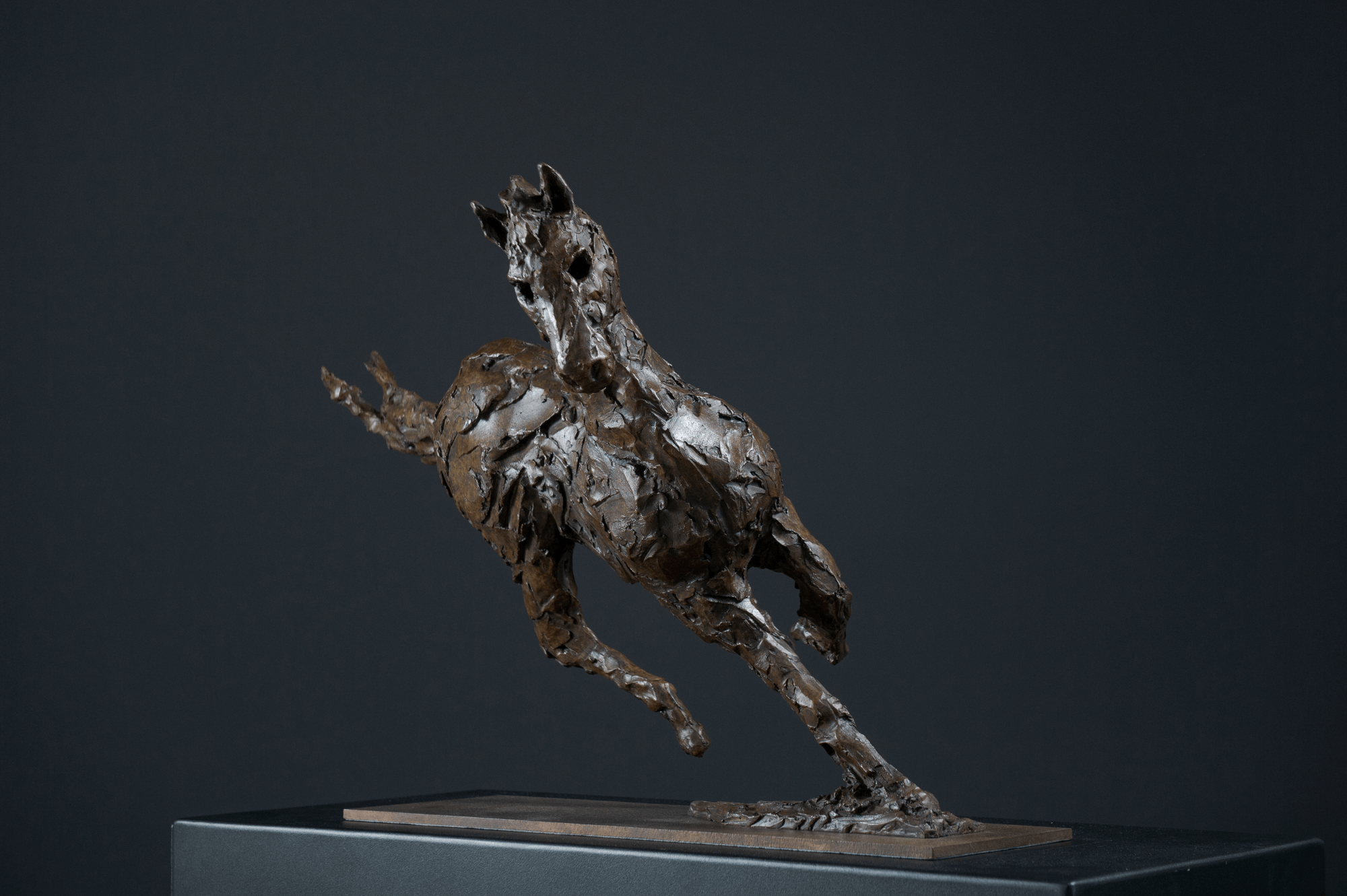 Horse I (Cornering Horse)