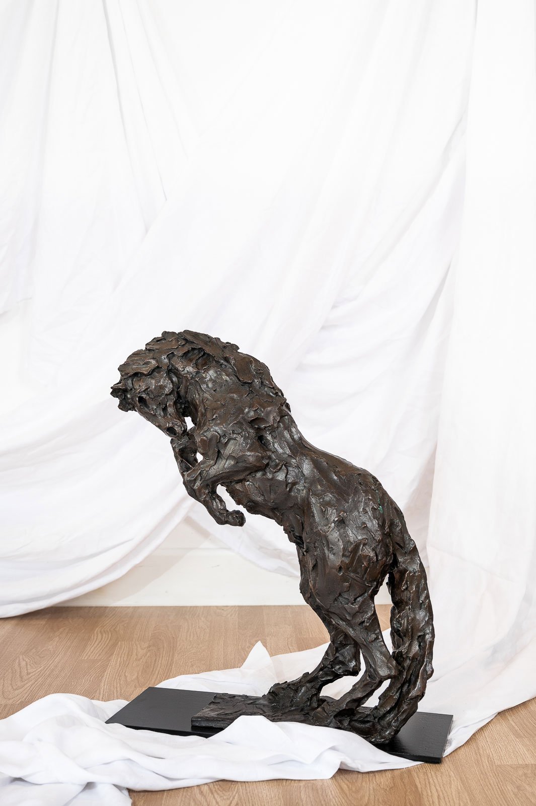 Horse III (Bucking Horse)