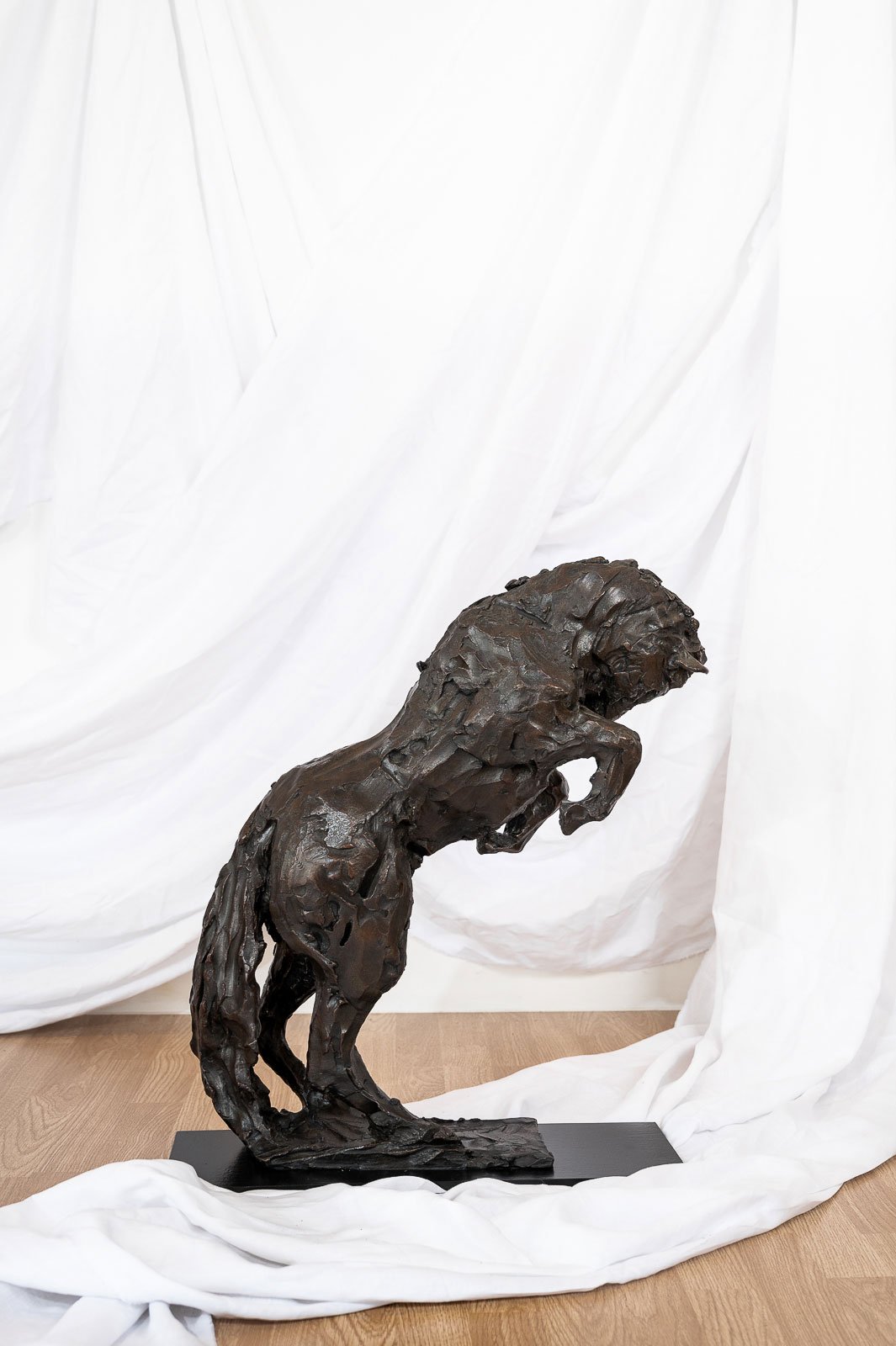 Horse III (Bucking Horse)