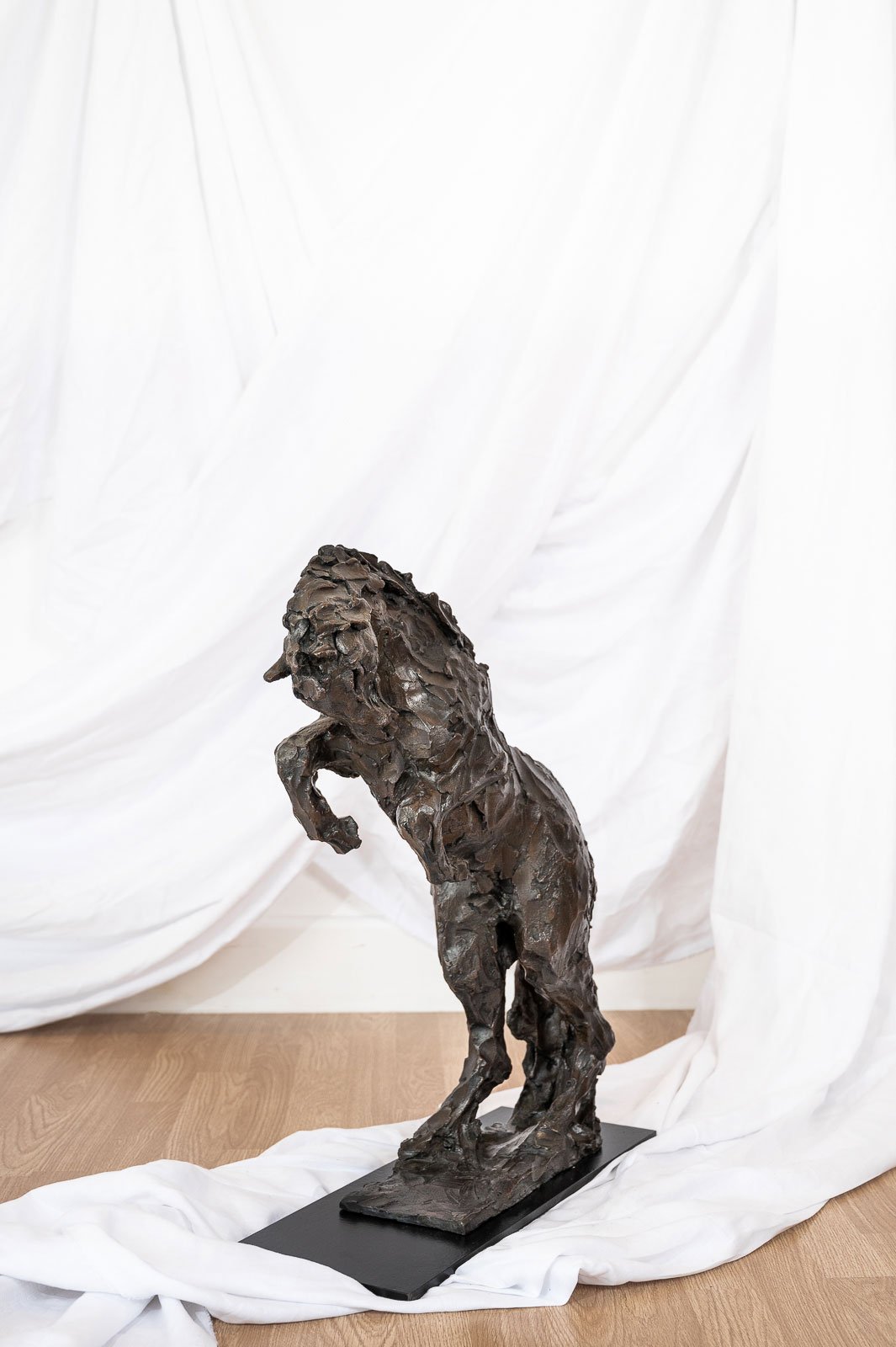 Horse III (Bucking Horse)