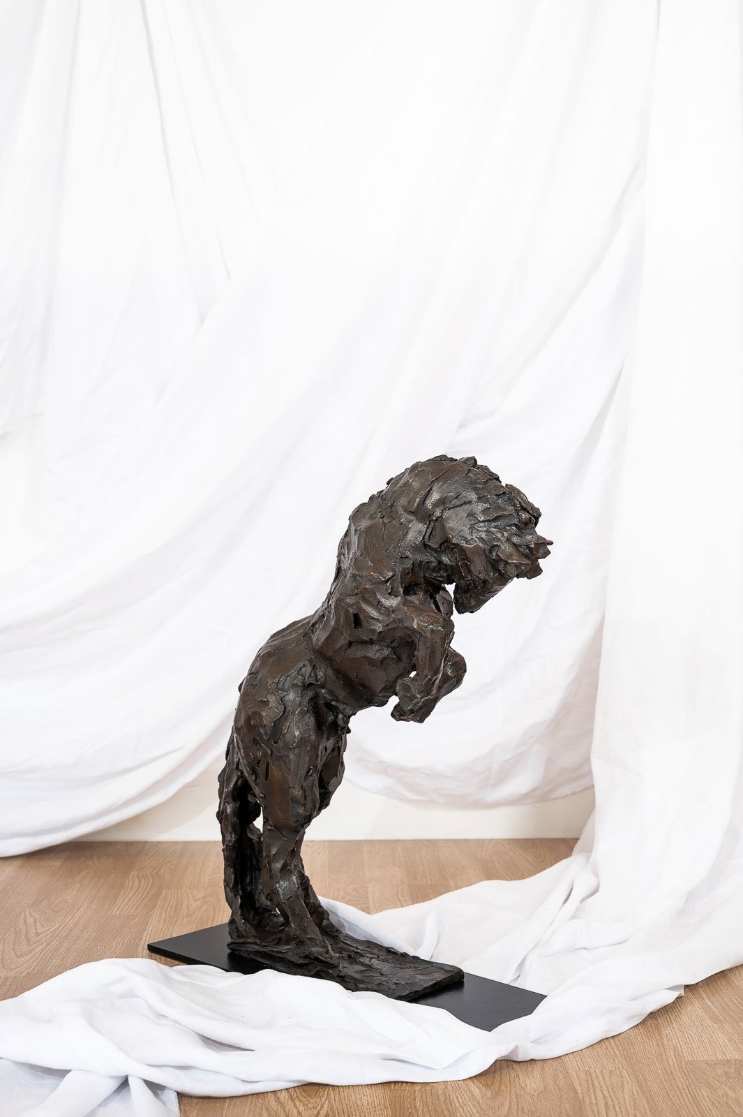 Horse III (Bucking Horse)