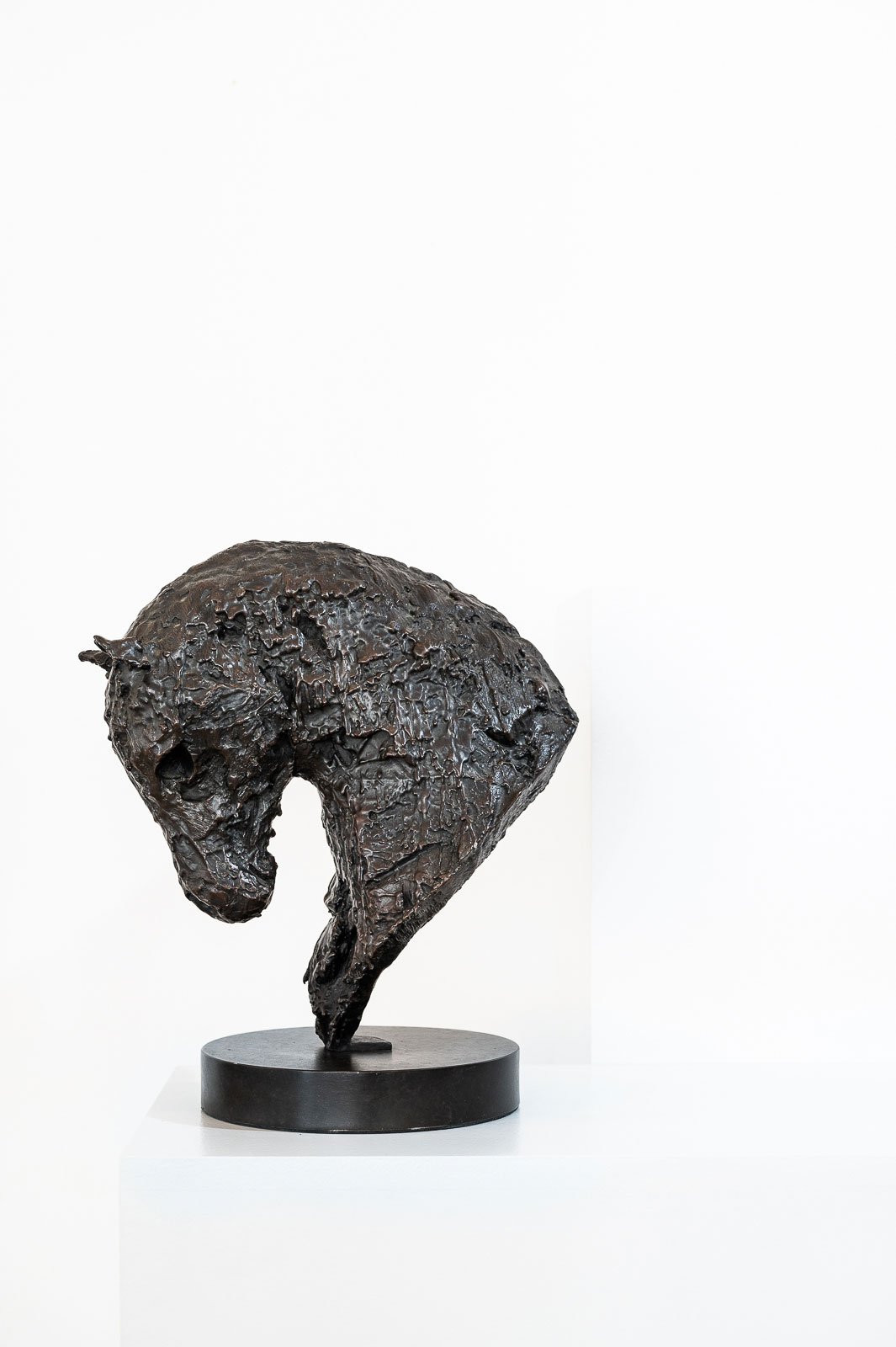 Horse Bust IV (Drips)