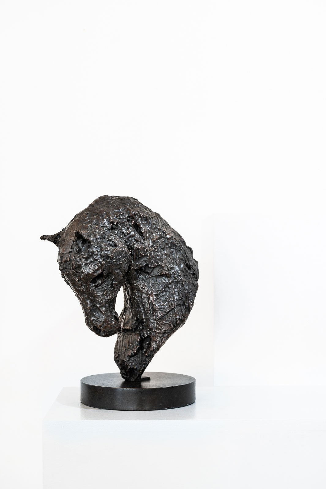 Horse Bust IV (Drips)