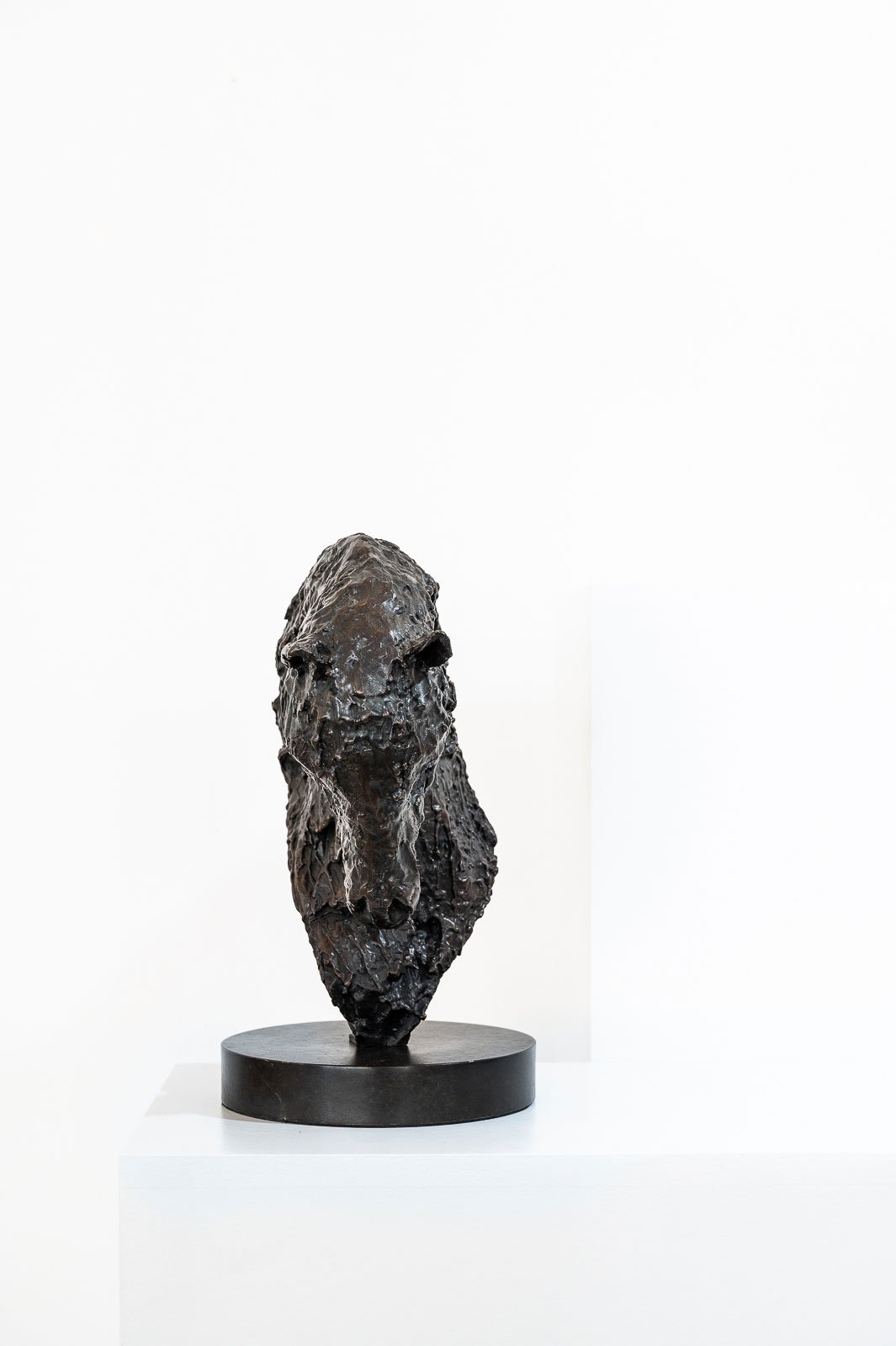 Horse Bust IV (Drips)