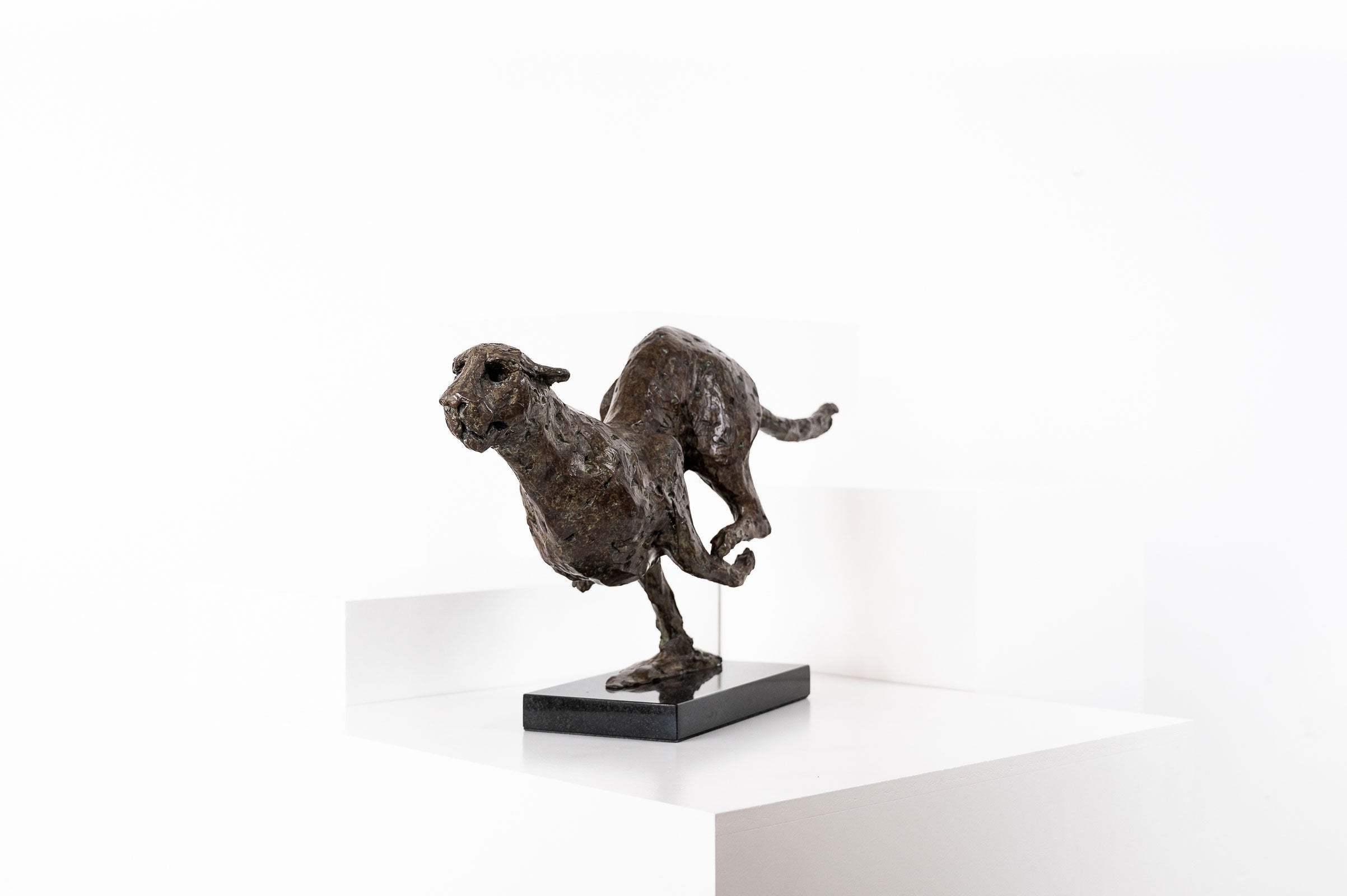 【 美品 】全長53㎝ RUNNING LEOPARD CAST BRONZE Running Cheetah III – VINCENT DA SILVA SHOP