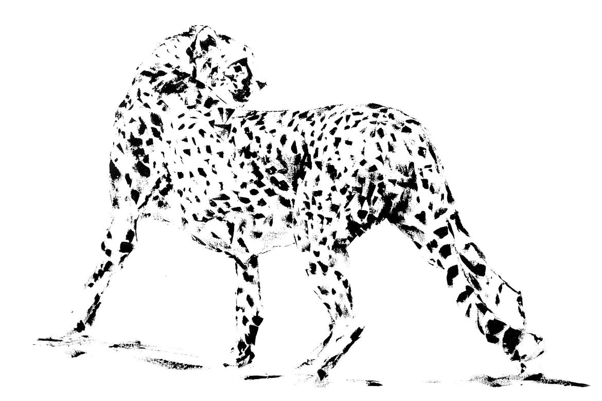 Cheetah I - UNFRAMED
