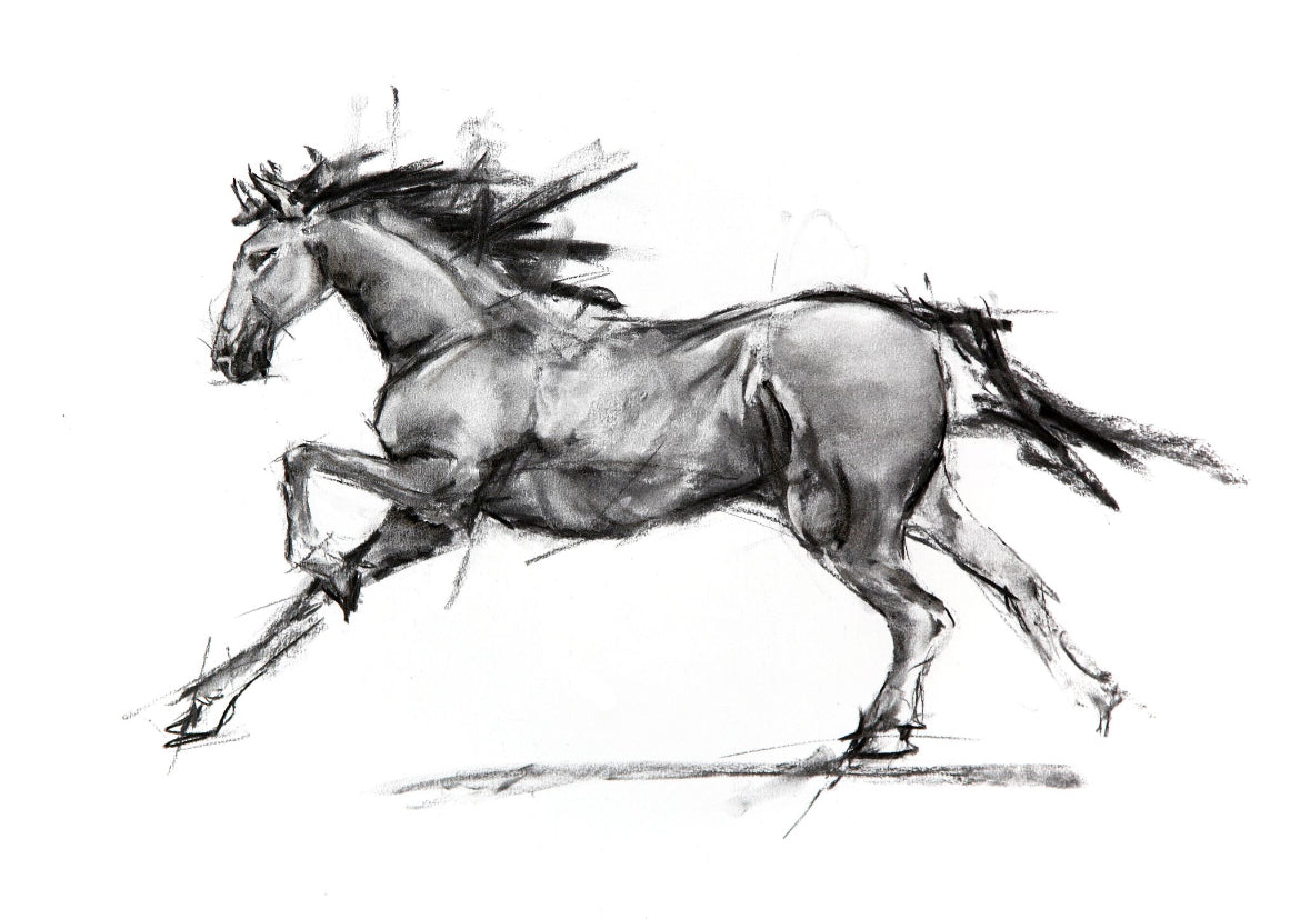 Horse Charcoal II - Print VDSP27
