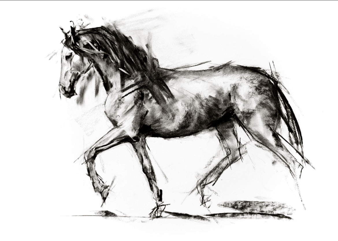 Horse Charcoal I - Print VDSP26