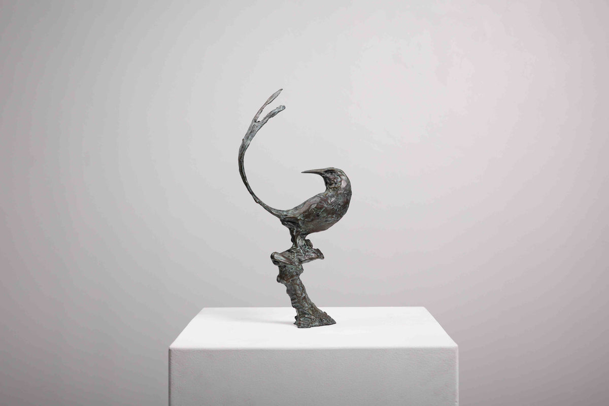 Cape Sugarbird Maquette
