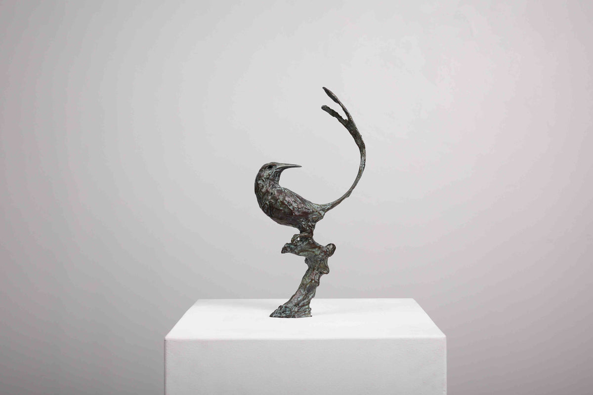 Cape Sugarbird Maquette