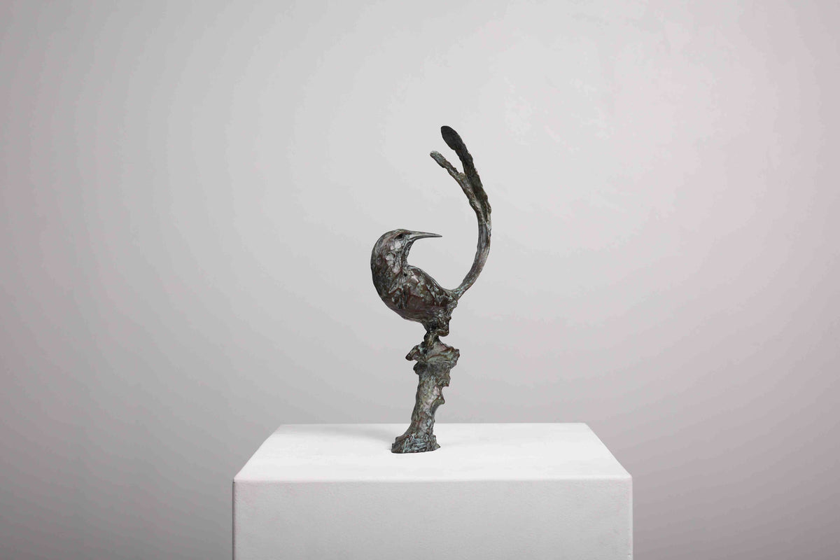 Cape Sugarbird Maquette