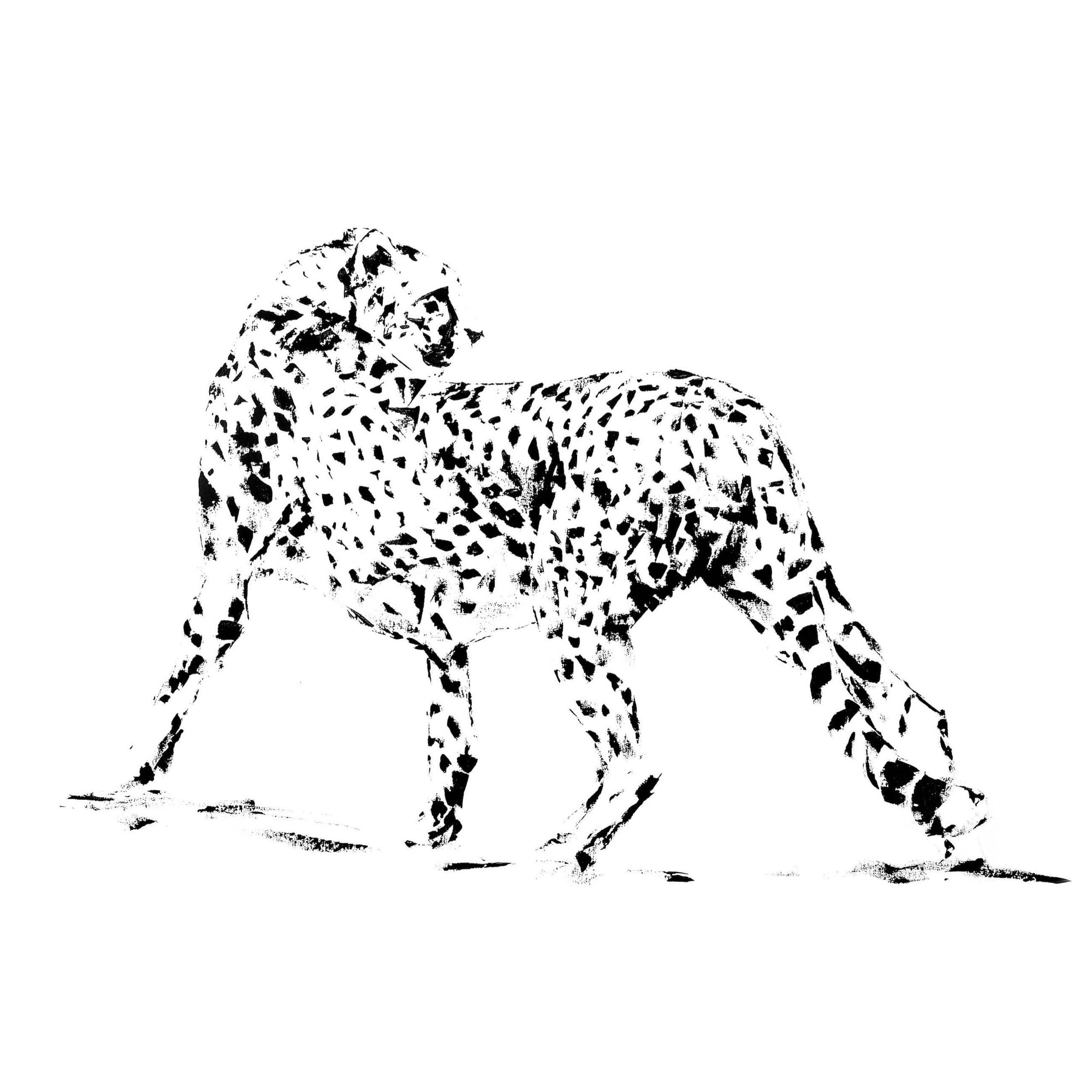 VDSP9 – Screen Print on Fabriano Paper-SQ9226645