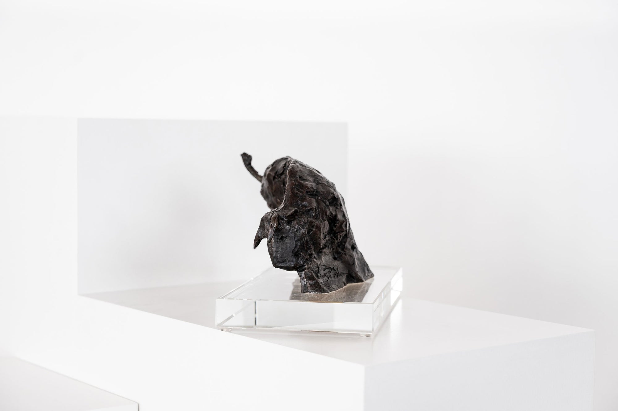 Bull Maquette