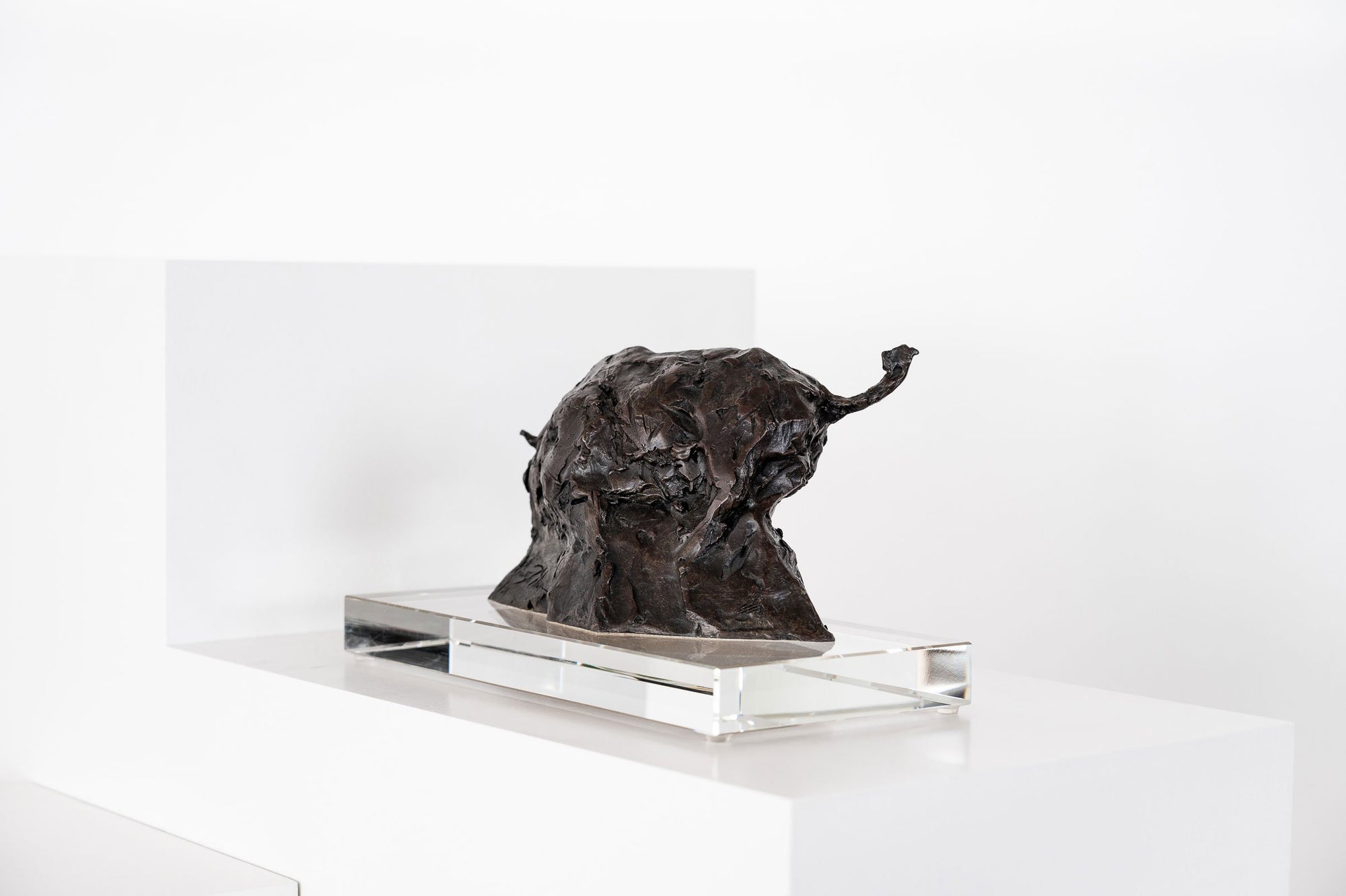 Bull Maquette